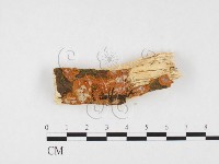 登錄號:F0026572藏品圖，第1張