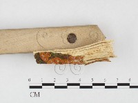 登錄號:F0026572藏品圖，第3張