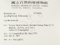 登錄號:F0026576藏品圖，第2張