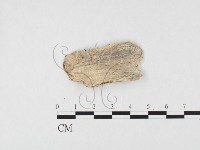 登錄號:F0026576藏品圖，第3張