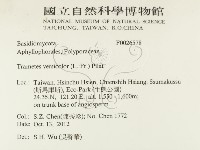 雲芝藏品圖，第2張