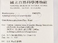 登錄號:F0026579藏品圖，第2張