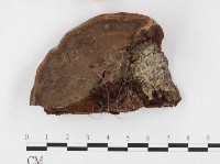 登錄號:F0026579藏品圖，第1張