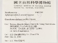 登錄號:F0026580藏品圖，第2張