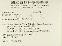 登錄號:F0026581藏品圖，第2張