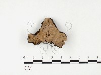 登錄號:F0026581藏品圖，第1張