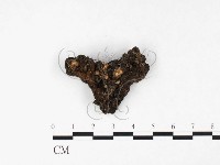 登錄號:F0026581藏品圖，第3張