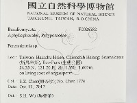 多年臥孔菌屬藏品圖，第2張