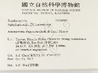登錄號:F0026583藏品圖，第2張