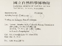 登錄號:F0026584藏品圖，第2張
