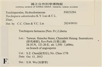 登錄號:F0026584藏品圖，第4張