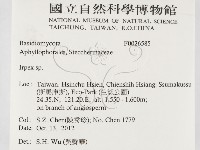 耙菌屬藏品圖，第2張