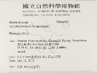 多年臥孔菌屬藏品圖，第2張