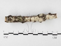 登錄號:F0026588藏品圖，第1張