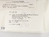 登錄號:F0026589藏品圖，第2張