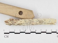 登錄號:F0026589藏品圖，第3張