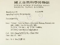 多年臥孔菌屬藏品圖，第2張