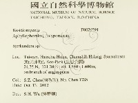 登錄號:F0026591藏品圖，第2張
