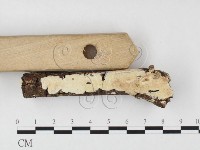 登錄號:F0026593藏品圖，第3張
