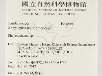 顯絲菌屬藏品圖，第2張