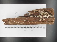 登錄號:F0026595藏品圖，第1張