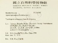 登錄號:F0026597藏品圖，第2張