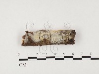 登錄號:F0026597藏品圖，第1張