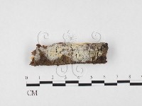 登錄號:F0026597藏品圖，第3張