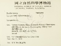 登錄號:F0026598藏品圖，第2張