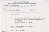 登錄號:F0026598藏品圖，第3張