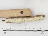 登錄號:F0026599藏品圖，第3張