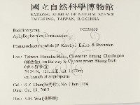登錄號:F0026600藏品圖，第2張