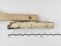 登錄號:F0026600藏品圖，第3張
