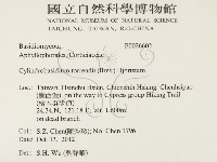 登錄號:F0026602藏品圖，第2張