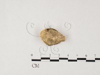 登錄號:F0026603藏品圖，第3張