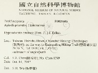 登錄號:F0026605藏品圖，第2張