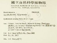 煙管菌藏品圖，第2張