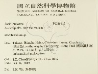 登錄號:F0026612藏品圖，第2張