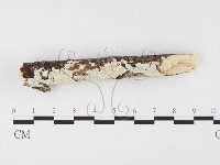 登錄號:F0026612藏品圖，第1張