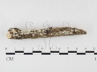 登錄號:F0026612藏品圖，第3張