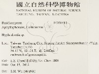 絲齒菌屬藏品圖，第2張