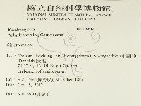 登錄號:F0026614藏品圖，第2張