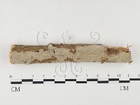 登錄號:F0026614藏品圖，第3張