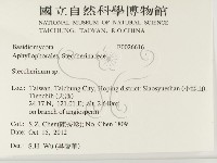 齒耳菌屬藏品圖，第2張