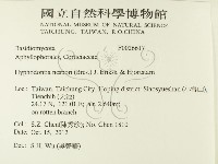 登錄號:F0026617藏品圖，第2張