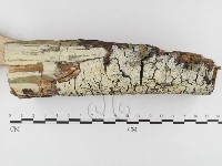 登錄號:F0026617藏品圖，第3張