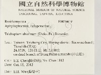 登錄號:F0026619藏品圖，第2張