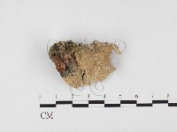 登錄號:F0026619藏品圖，第1張