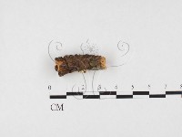 登錄號:F0026620藏品圖，第3張