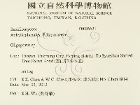 寡孔菌屬藏品圖，第2張
